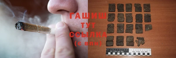 гидра Медвежьегорск