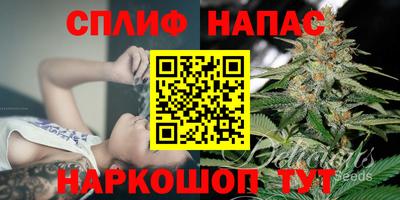 сатива Абакан