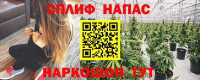 spice Балахна