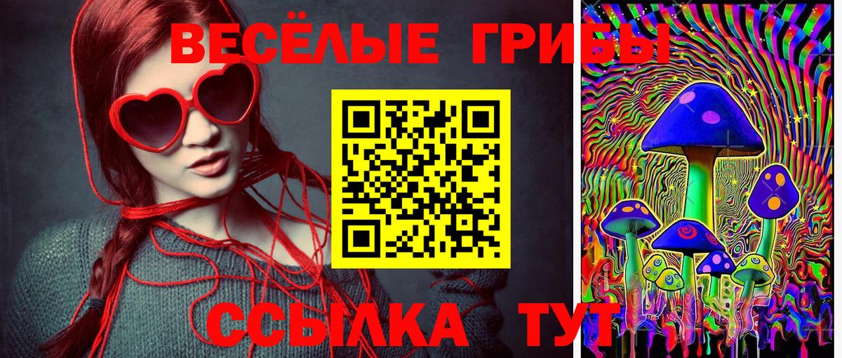 Галлюциногенные грибы Cubensis Хабаровск