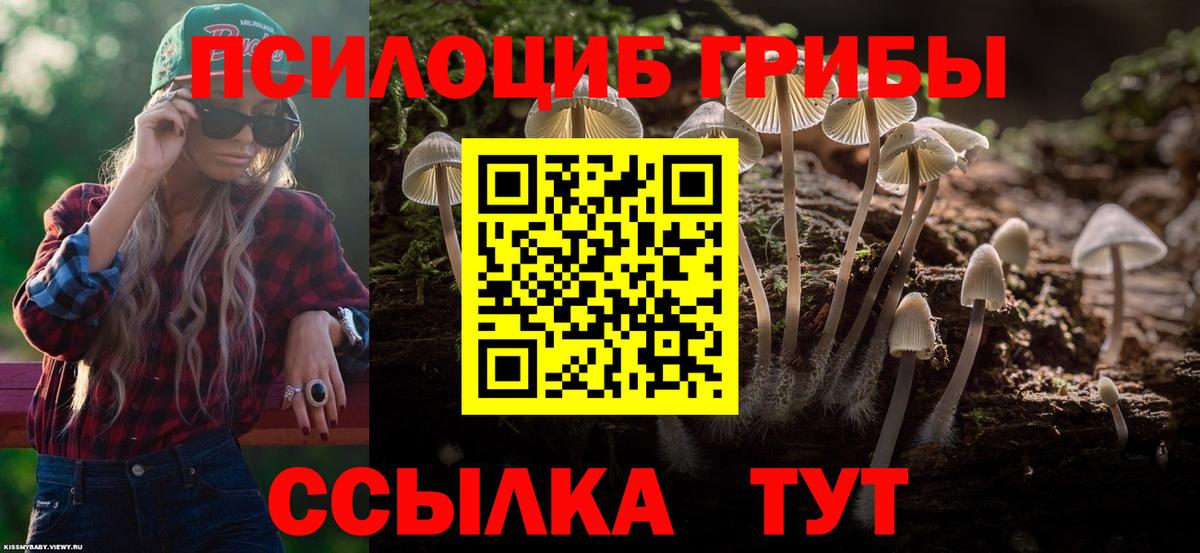 Псилоцибиновые грибы GOLDEN TEACHER  Хабаровск  Галлюциногенные грибы GOLDEN TEACHER 