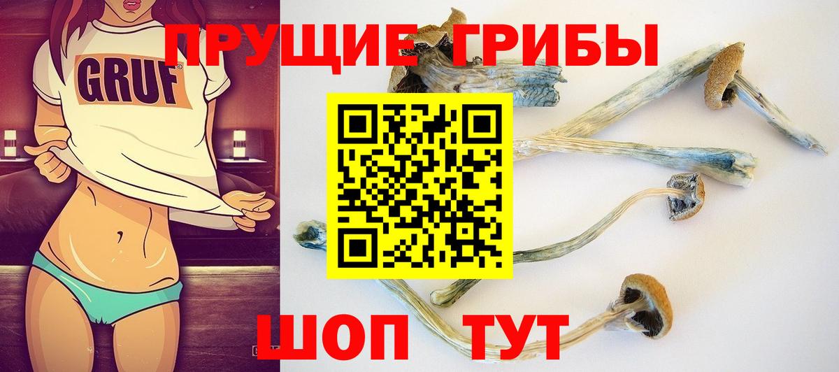 Псилоцибиновые грибы мицелий Хабаровск