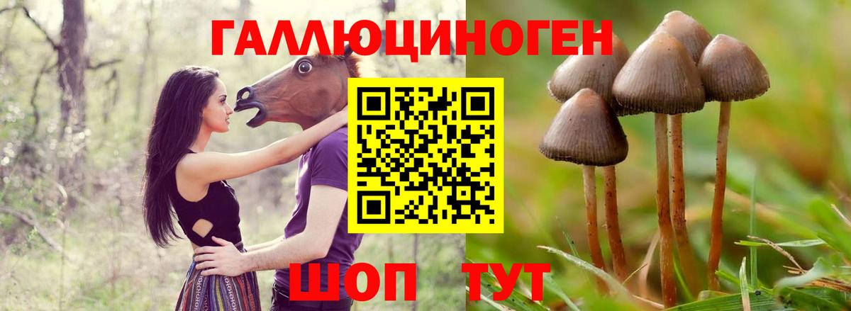 Галлюциногенные грибы мицелий  Псилоцибиновые грибы Psilocybe  Хабаровск  Вход с VPN 